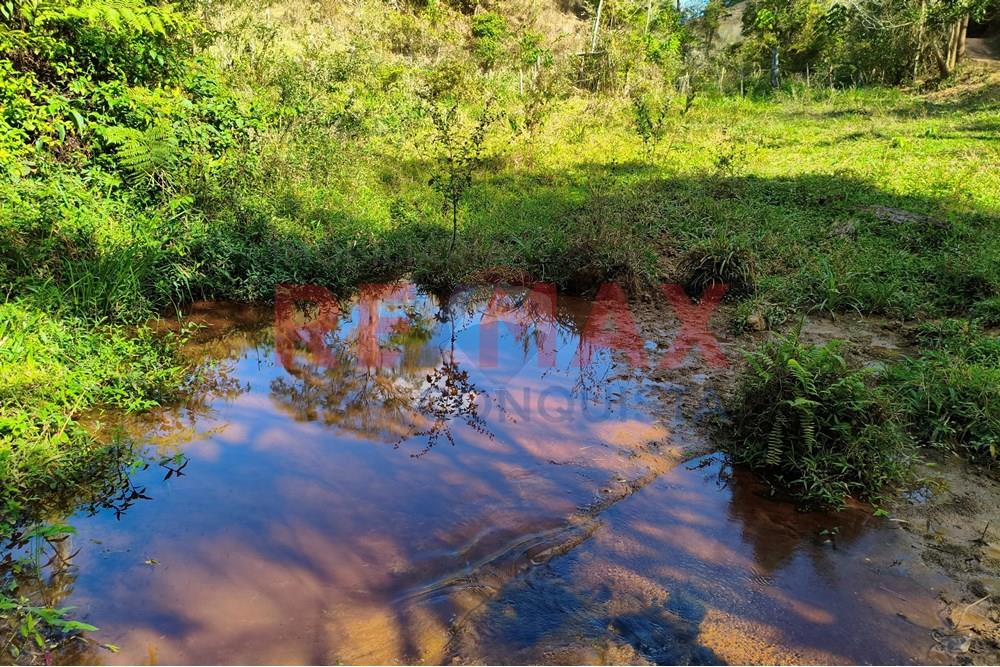Chácara / Sítio / Fazenda - Venda - Ipanema , Minas Gerais - 4_image_4_watermark_seg._15092025_150756.jpg - 870451013-72