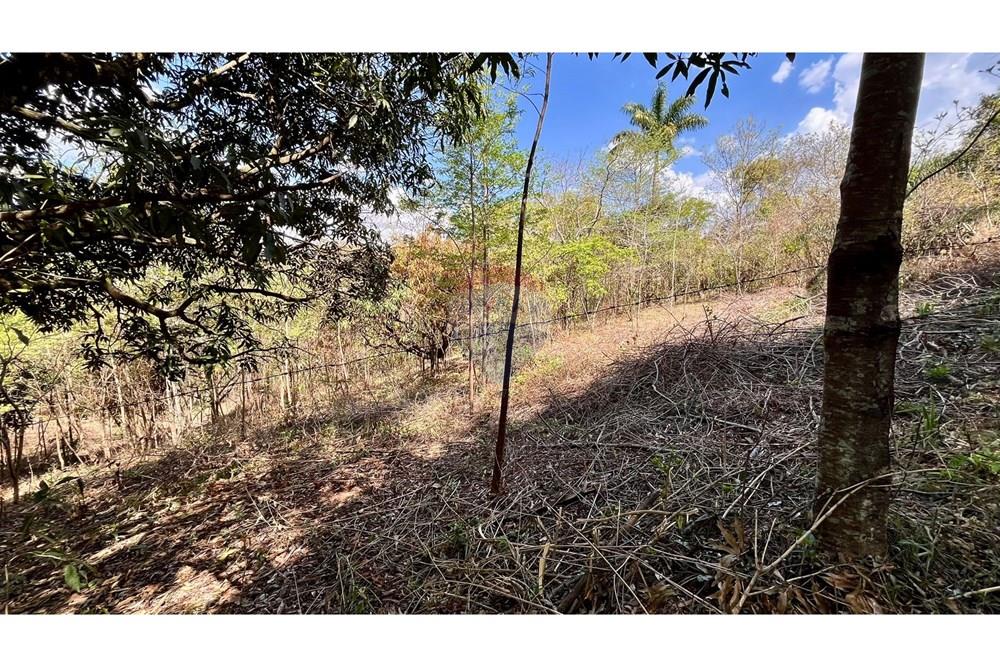 Terreno - Venda - Nova Lima , Minas Gerais - WhatsApp Image 2025-10-23 at 11.17.23 (6).jpeg - 870351032-22