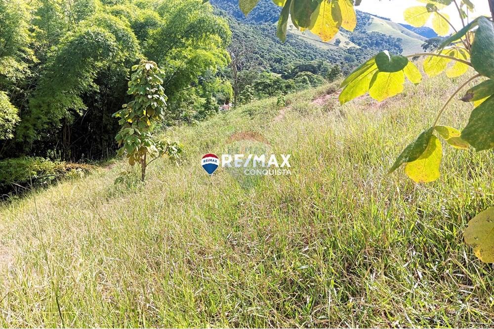 Chácara / Sítio / Fazenda - Venda - Conceição de Ipanema , Minas Gerais - 5_image_5_watermark_sáb._12042025_141700.jpg - 870451013-61