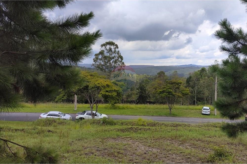 Terreno - Venda - Nova Lima , Minas Gerais - IMG_20250128_114859.jpg - 870421014-287