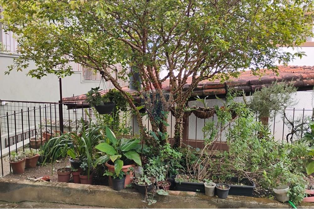 Casa - Venda - Belo Horizonte , Minas Gerais - FOTO37.jpg - 870241112-46