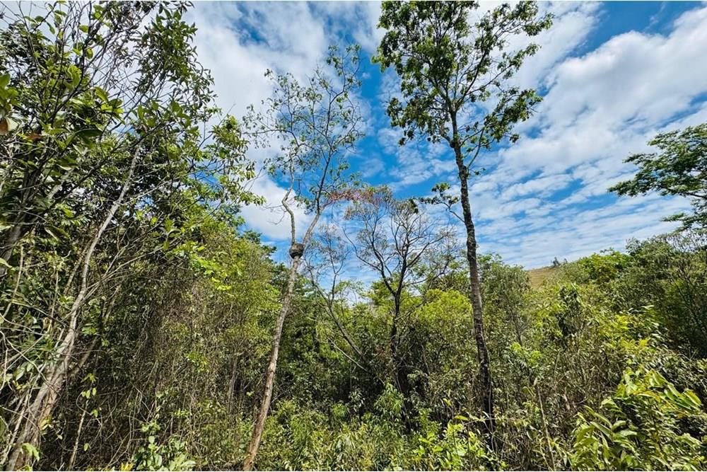 Chácara / Sítio / Fazenda - Venda - Caeté , Minas Gerais - IMG-20251030-WA0340.jpg - 870421116-90