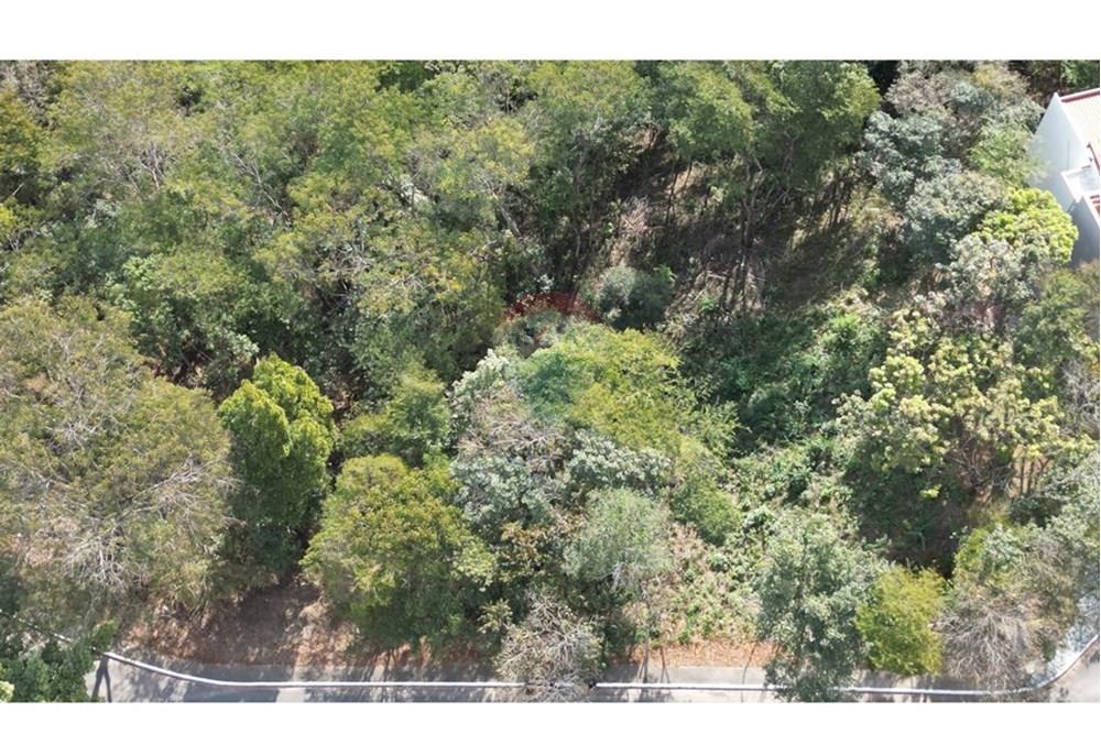 Terreno - Venda - Nova Lima , Minas Gerais - dji_fly_20250819_143432_679_1755688856896_photo.JPG - 870351059-18