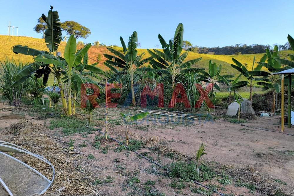 Chácara / Sítio / Fazenda - Venda - Conceição de Ipanema , Minas Gerais - 4_image_4_watermark_seg._01092025_205223.jpg - 870451001-144