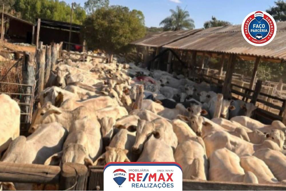 Chácara / Sítio / Fazenda - Venda - Patos de Minas , Minas Gerais - 23.jpg - 870631011-31