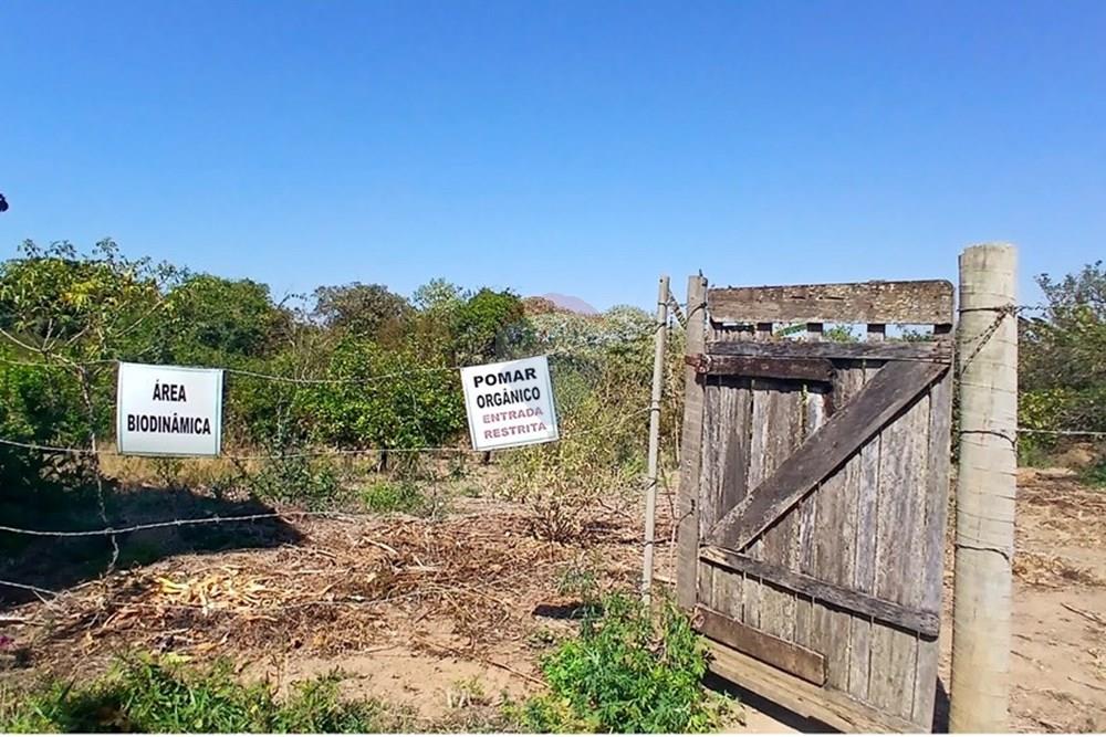 Chácara / Sítio / Fazenda - Venda - Piumhi , Minas Gerais - 20250816_104810.jpg - 870411101-9