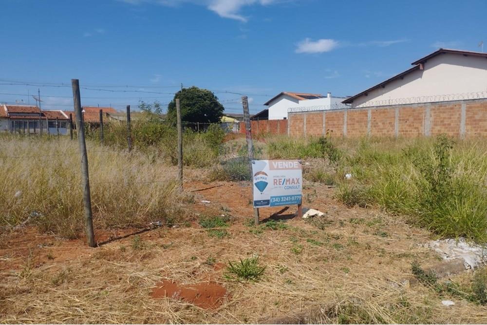 Terreno - Venda - Araguari , Minas Gerais - WhatsApp Image 2025-04-08 at 17.11.00 (1).jpeg - 870441003-42