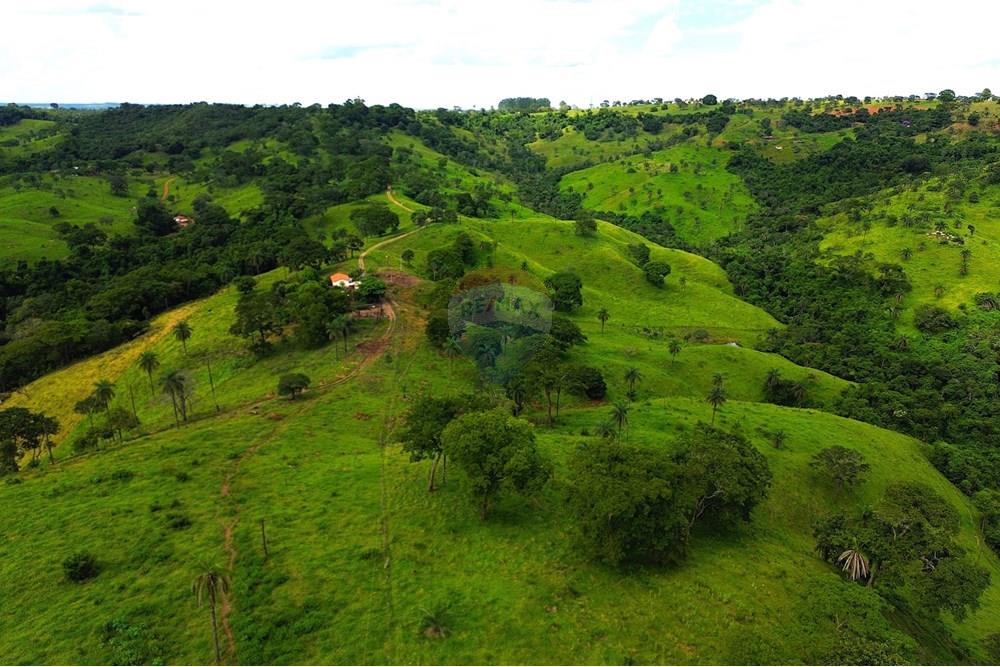 Chácara / Sítio / Fazenda - Venda - Araxá , Minas Gerais - 02.2.JPG - 870431045-37