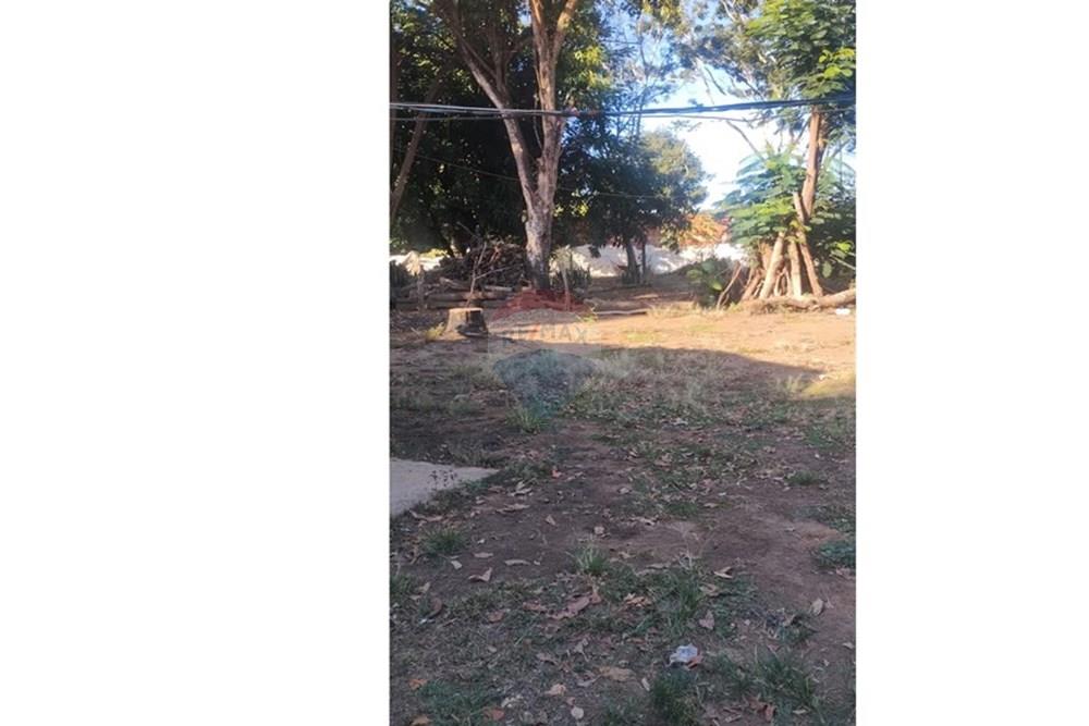 Ilha Privada - Venda - Conceição das Alagoas , Minas Gerais - .4.jpeg - 870291037-18