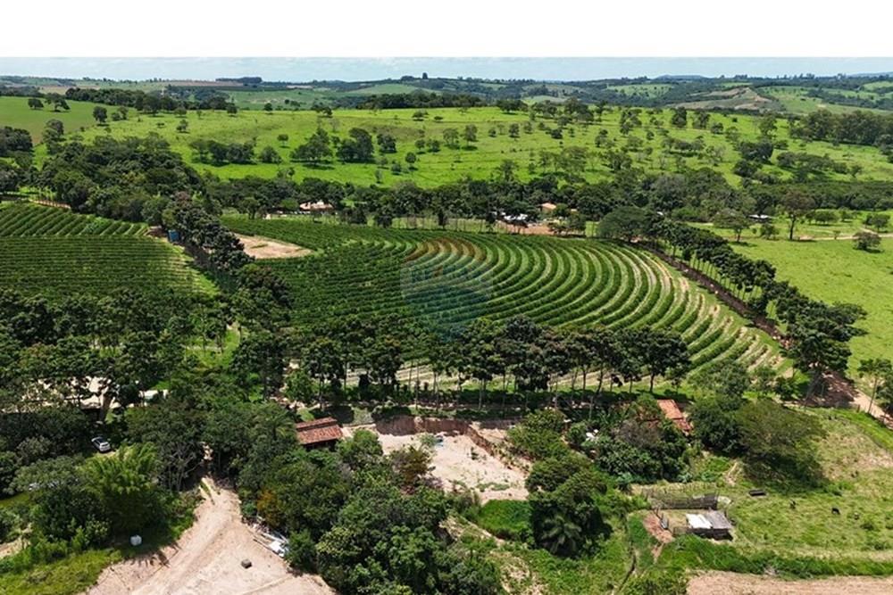 Chácara / Sítio / Fazenda - Venda - Araxá , Minas Gerais - FAZENDA 3.jpeg - 870431058-4