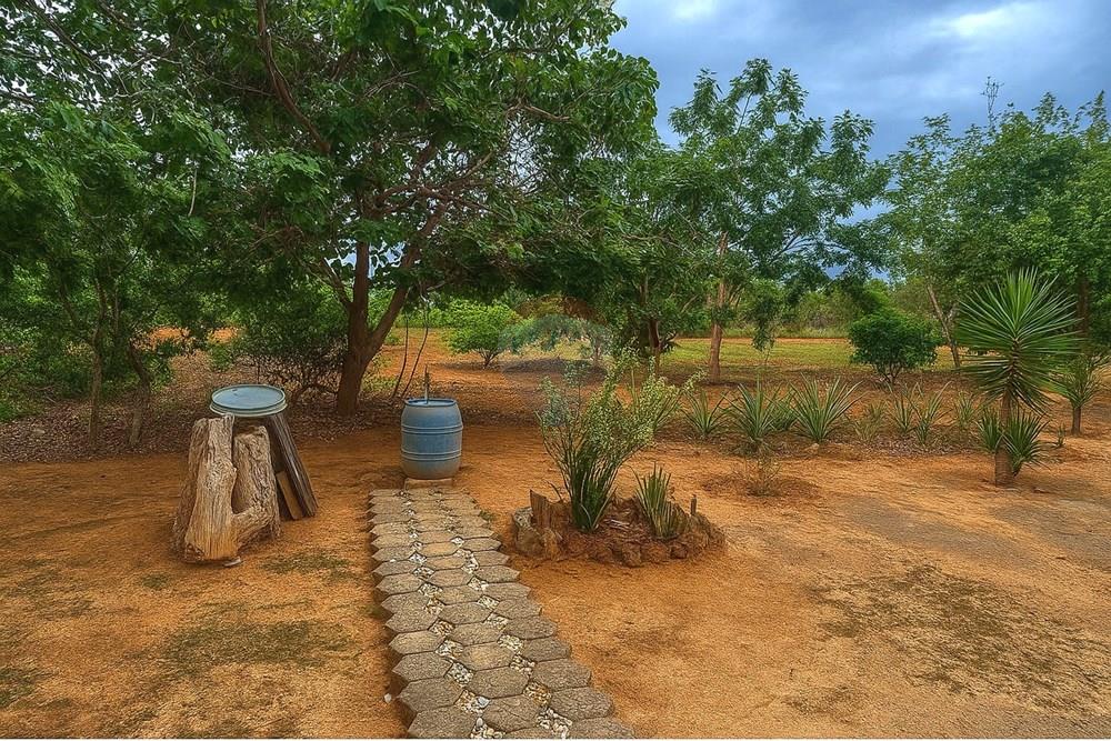 Chácara / Sítio / Fazenda - Venda - Curvelo , Minas Gerais - 602370bd-a444-4fb6-a5c2-5747274f11cf.jpeg - 870241024-65