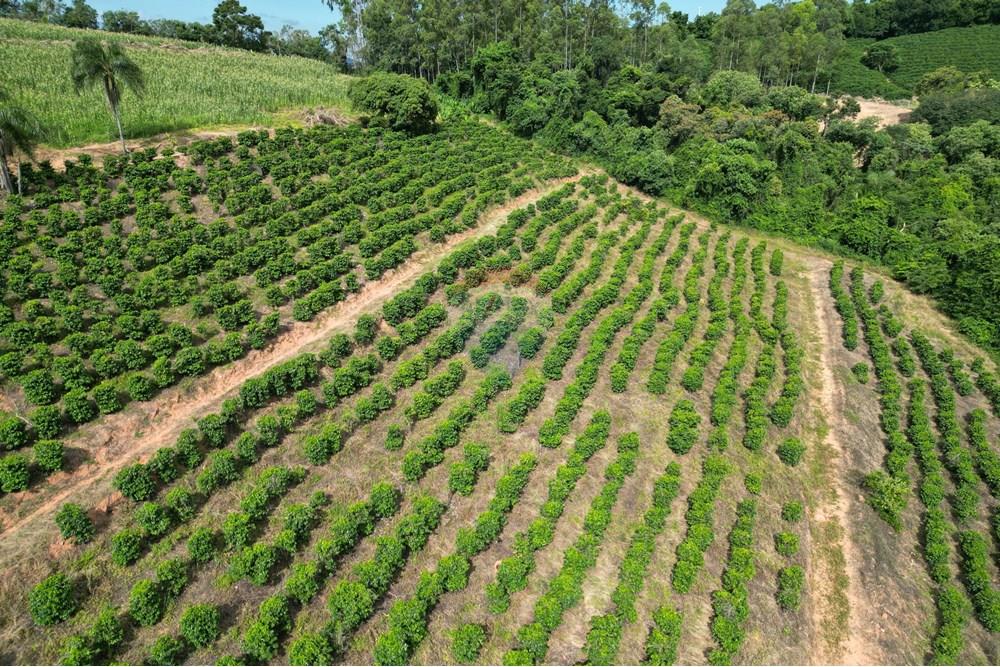 Fazenda - Venda - Caconde , São Paulo - DJI_0022.JPG - 870361041-102