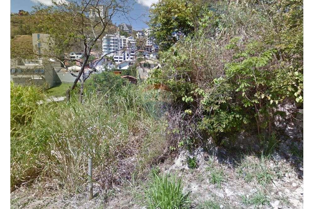 Terreno - Venda - Belo Horizonte , Minas Gerais - Terreno R Kepler 1121(1).jpg - 870251073-40