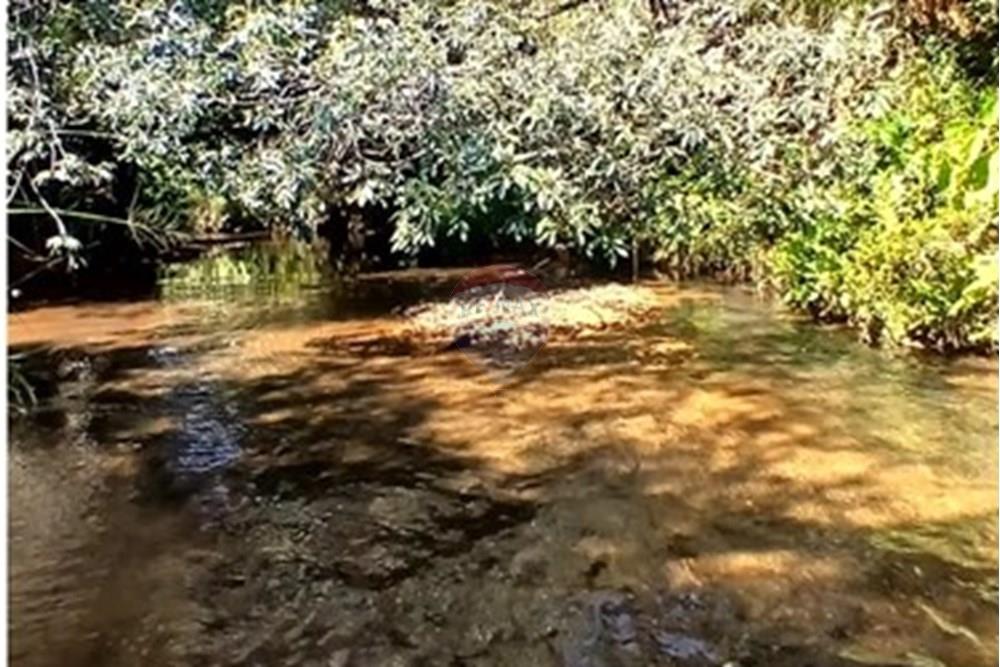 Chácara / Sítio / Fazenda - Venda - Piumhi , Minas Gerais - 20250816_110612.jpg - 870411101-9