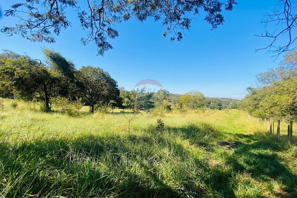 Chácara / Sítio / Fazenda - Venda - Matozinhos , Minas Gerais - WhatsApp Image 2025-09-28 at 18.56.19.jpeg - 870411101-11