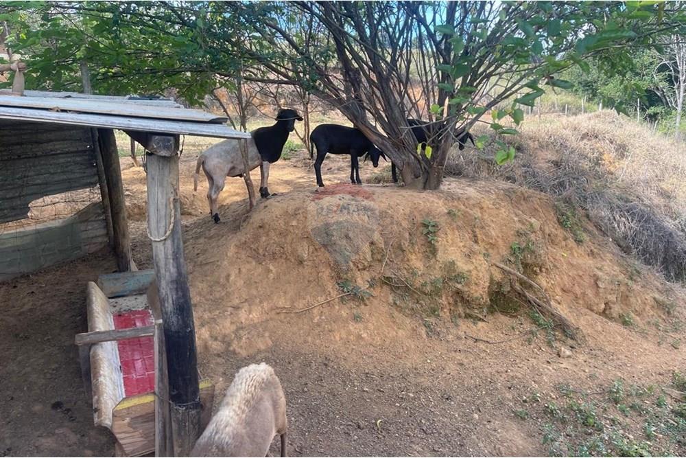 Residential - ਫ਼ਾਰਮ - Araxá , Minas Gerais - BR - 12.jpg - 870431045-46