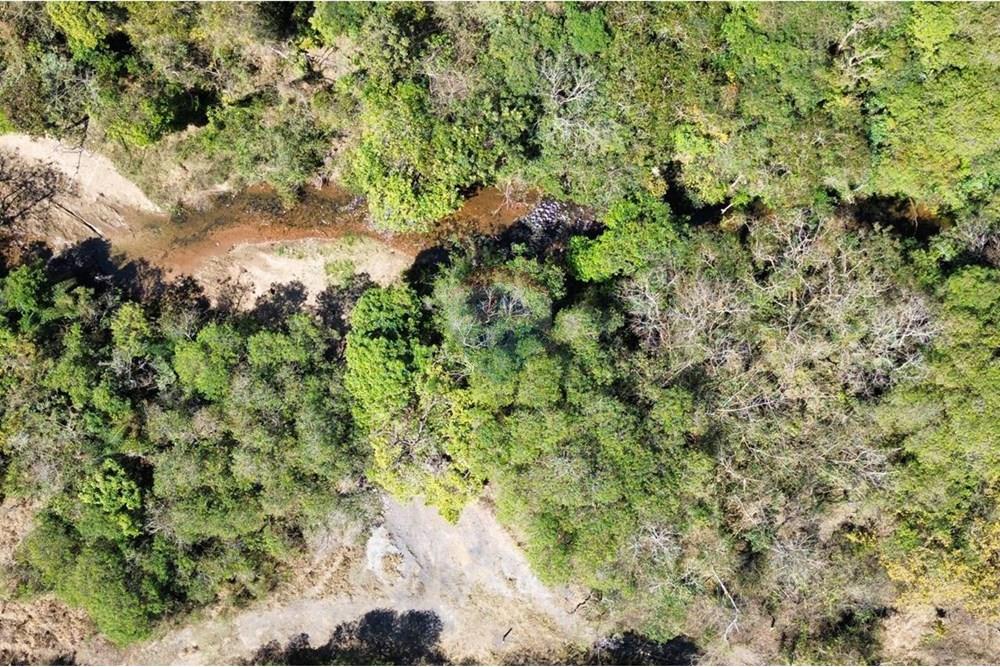 Chácara / Sítio / Fazenda - Venda - Araxá , Minas Gerais - José Cunha Oliveira Fazenda  Colina foto córrego .jpg - 870431004-117