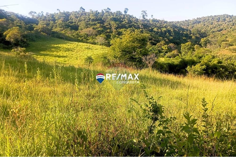 Chácara / Sítio / Fazenda - Venda - Pocrane , Minas Gerais - WhatsApp Image 2025-04-08 at 09.40.27(1).jpeg - 870451001-124