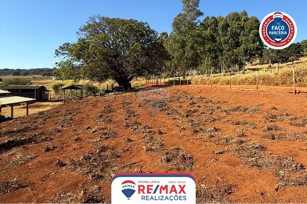 Chácara / Sítio / Fazenda - Venda - Patos de Minas , Minas Gerais - IMG-20250807-WA0072.jpg - 870631012-85