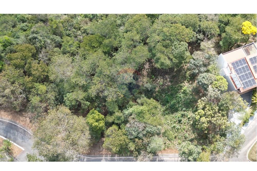 Terreno - Venda - Nova Lima , Minas Gerais - dji_fly_20250819_144246_687_1755688743377_photo.JPG - 870351059-18