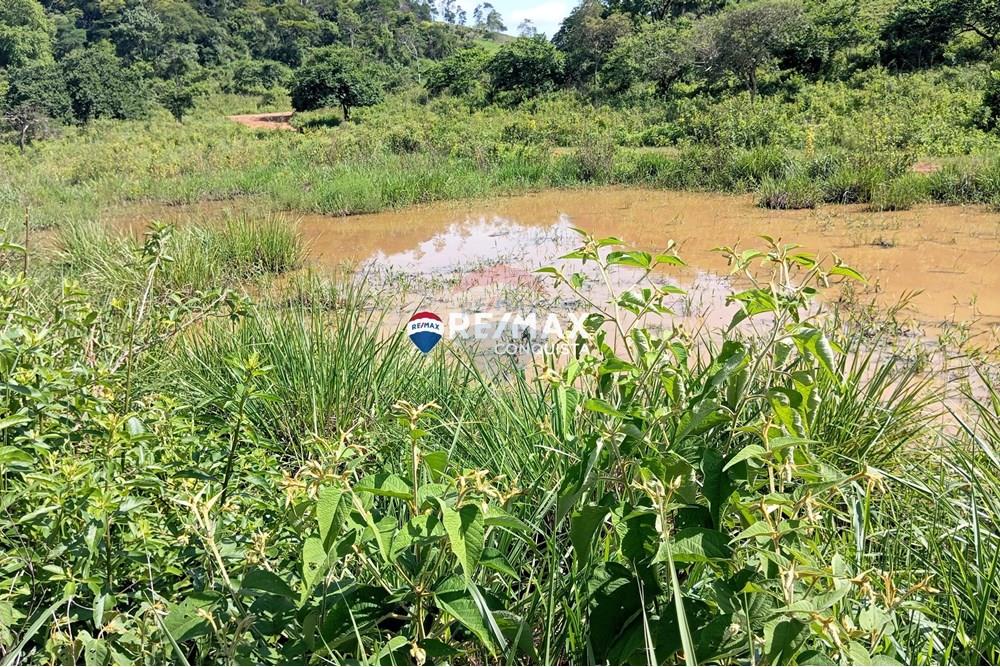 Chácara / Sítio / Fazenda - Venda - Pocrane , Minas Gerais - 2_IMG_20241203_082902_watermark_sex._13122024_135535.jpg - 870451001-114