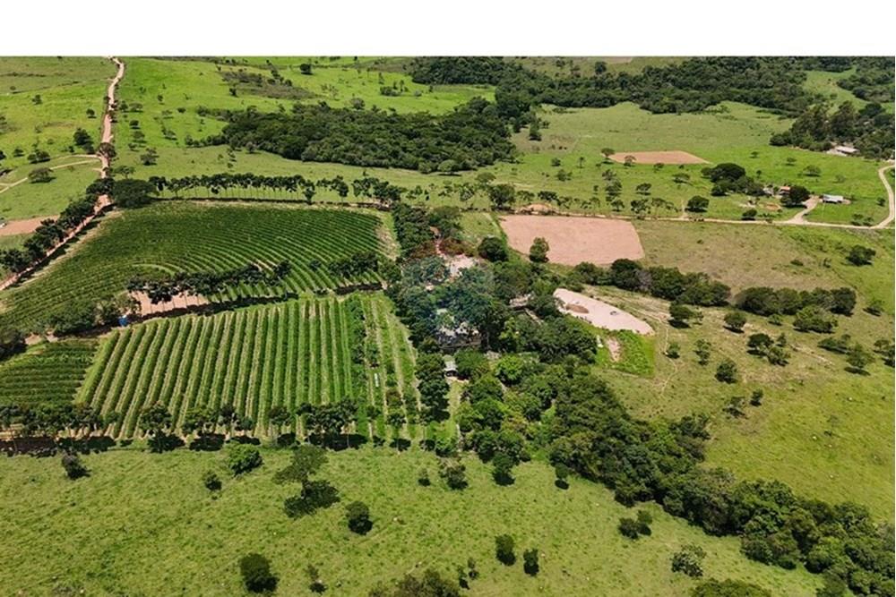 Chácara / Sítio / Fazenda - Venda - Araxá , Minas Gerais - FAZENDA 4.jpeg - 870431058-4
