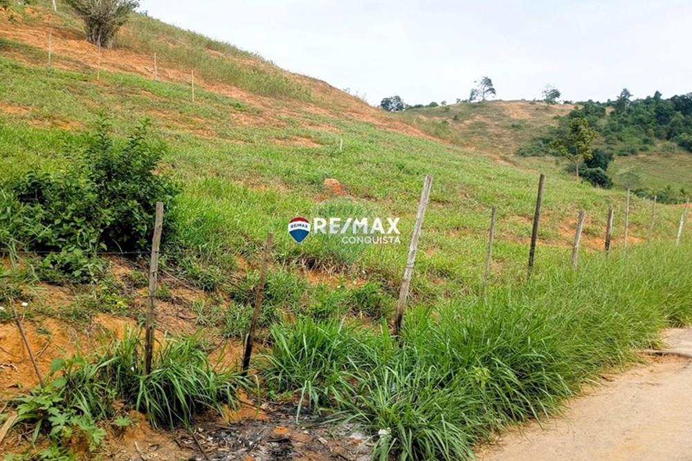 Terreno - Venda - Ipanema , Minas Gerais - 4_image_4_watermark_seg._05052025_142532.jpg - 870451004-98