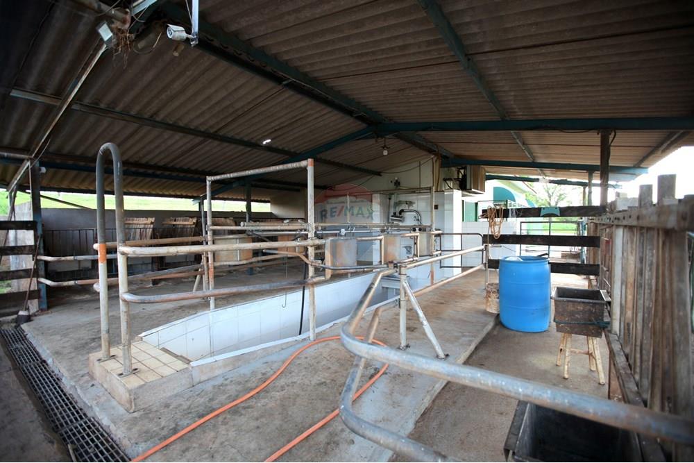 Chácara / Sítio / Fazenda - Venda - Araxá , Minas Gerais - IMG_2448.JPG - 870431039-25