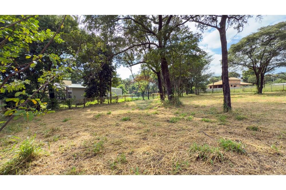 Terreno - Venda - Igarapé , Minas Gerais - IMG_7106.jpg - 870351054-17