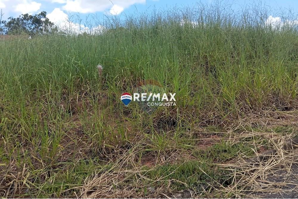 Chácara / Sítio / Fazenda - Venda - Ipanema , Minas Gerais - WhatsApp Image 2025-02-19 at 16.28.35(3).jpeg - 870451013-54