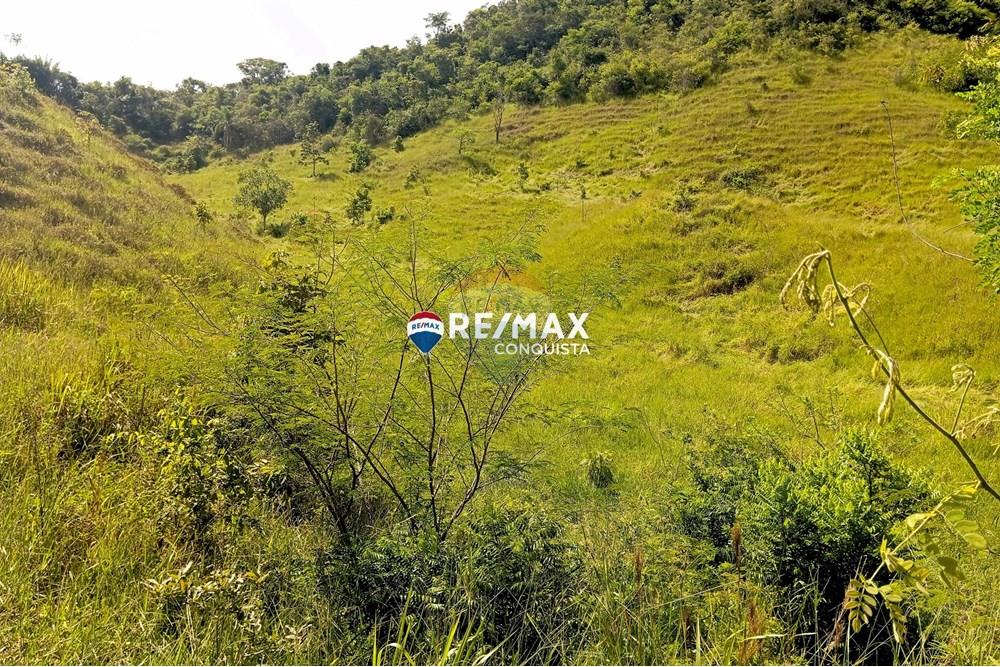 Chácara / Sítio / Fazenda - Venda - Conceição de Ipanema , Minas Gerais - 2_image_2_watermark_sáb._12042025_141658.jpg - 870451013-61