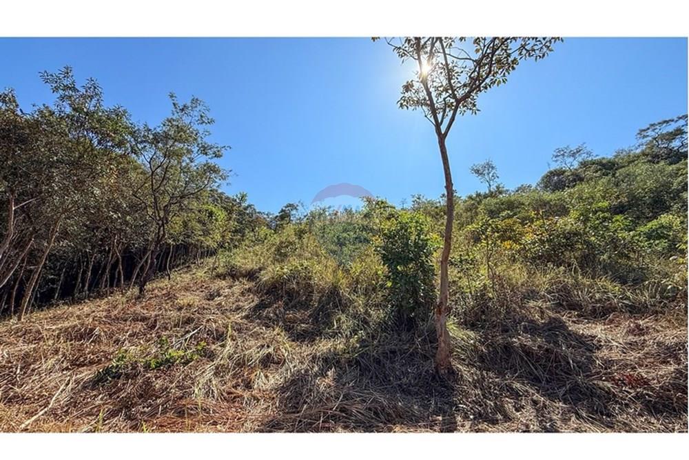 Terreno - Venda - Nova Lima , Minas Gerais - IMG_2084.jpg - 870351059-17