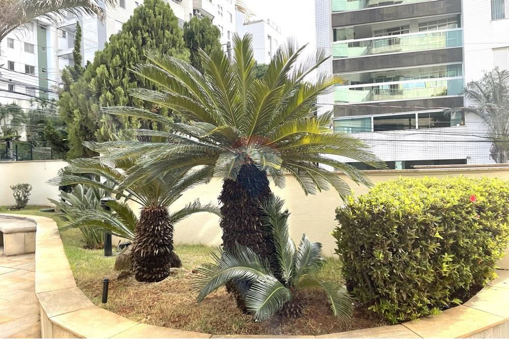 Apartamento - Venda - Belo Horizonte , Minas Gerais - IMG_5182.jpg - 870251002-606