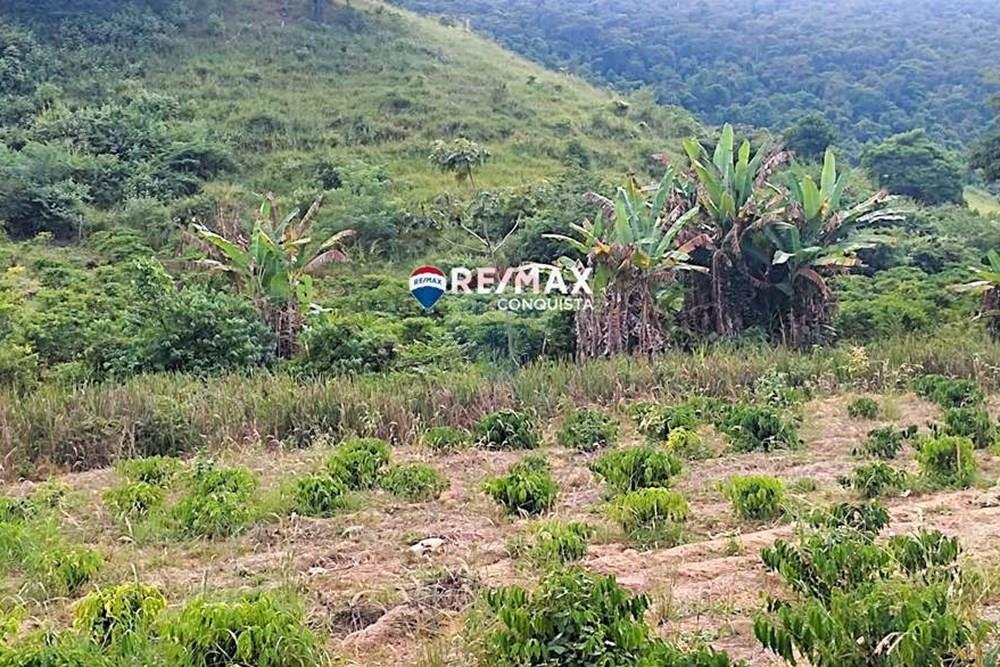 Chácara / Sítio / Fazenda - Venda - Ipanema , Minas Gerais - 1_IMG_20240515_083028_watermark_dom._23062024_095959.jpg - 870451001-121