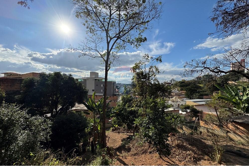 Terreno - Venda - Belo Horizonte , Minas Gerais - IMG_0285.JPG - 870411048-65