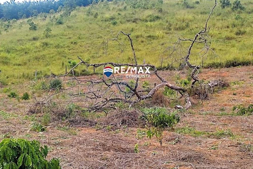 Chácara / Sítio / Fazenda - Venda - Ipanema , Minas Gerais - 2_IMG_20240515_083005_watermark_dom._23062024_100000.jpg - 870451001-121