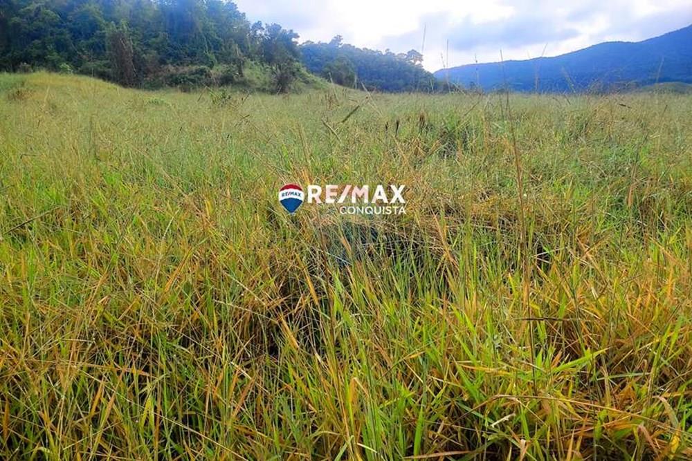 Chácara / Sítio / Fazenda - Venda - Ipanema , Minas Gerais - 1_IMG_20240515_071833_watermark_dom._23062024_100329.jpg - 870451001-122