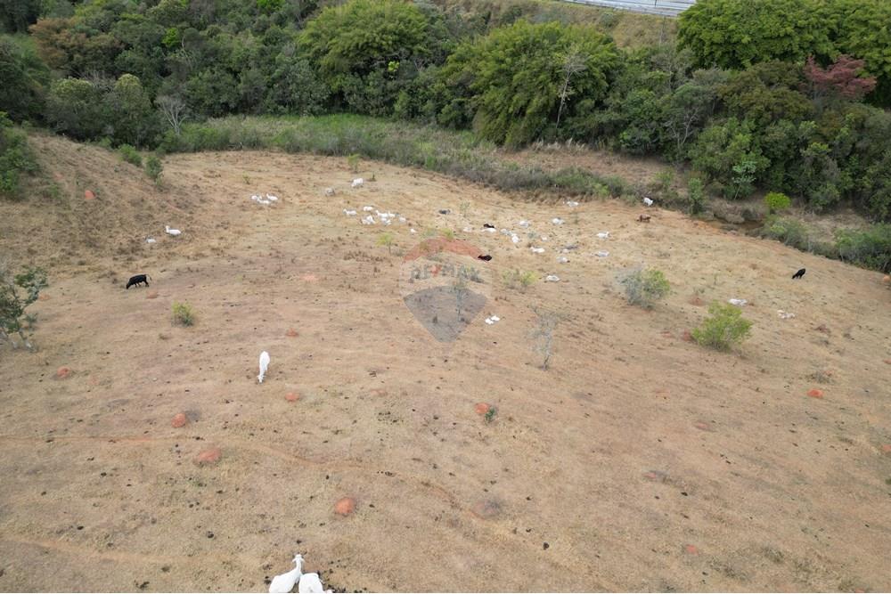 Chácara / Sítio / Fazenda - Venda - Três Corações , Minas Gerais - DJI_0019.JPG - 870361041-120