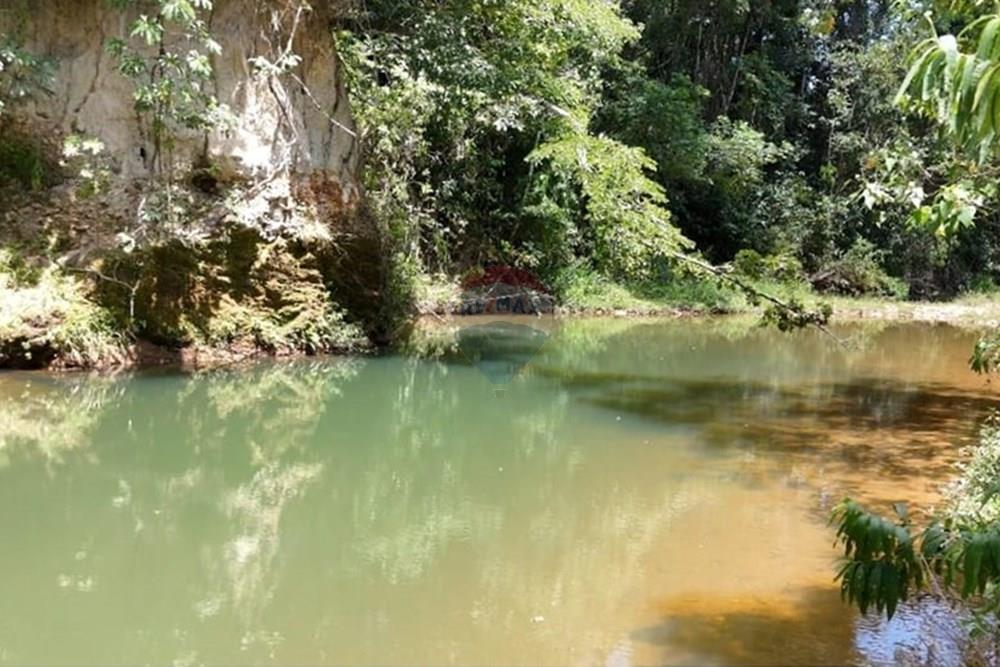 Chácara / Sítio / Fazenda - Venda - Delfinópolis , Minas Gerais - WhatsApp Image 2025-05-01 at 18.17.27.jpeg - 870721003-2