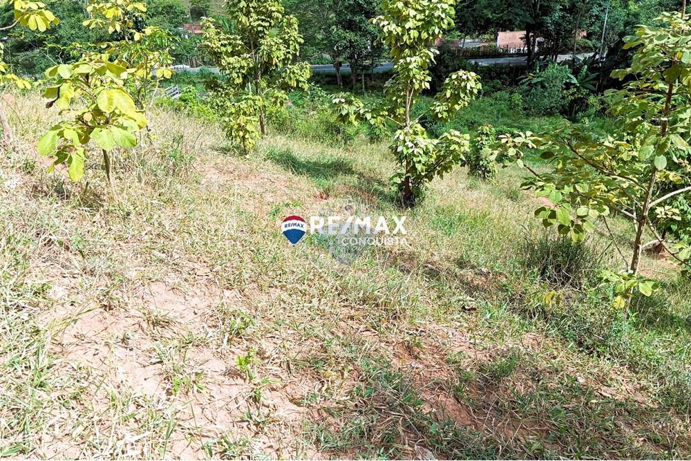 Chácara / Sítio / Fazenda - Venda - Conceição de Ipanema , Minas Gerais - 1_image_1_watermark_sáb._12042025_141920.jpg - 870451013-61