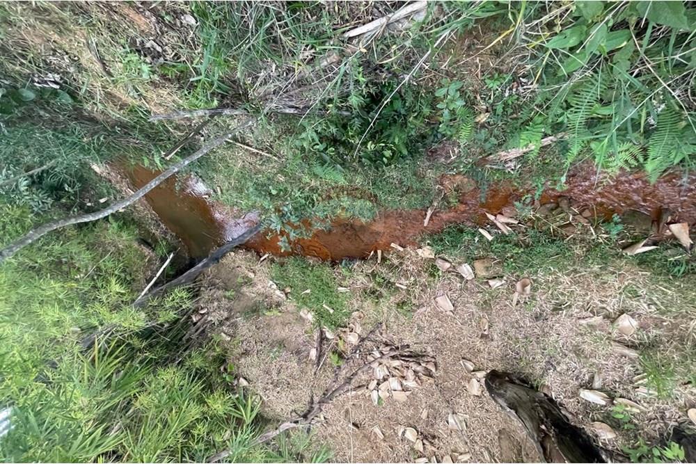 Residential - ਫ਼ਾਰਮ - Araxá , Minas Gerais - BR - 08.jpg - 870431045-46