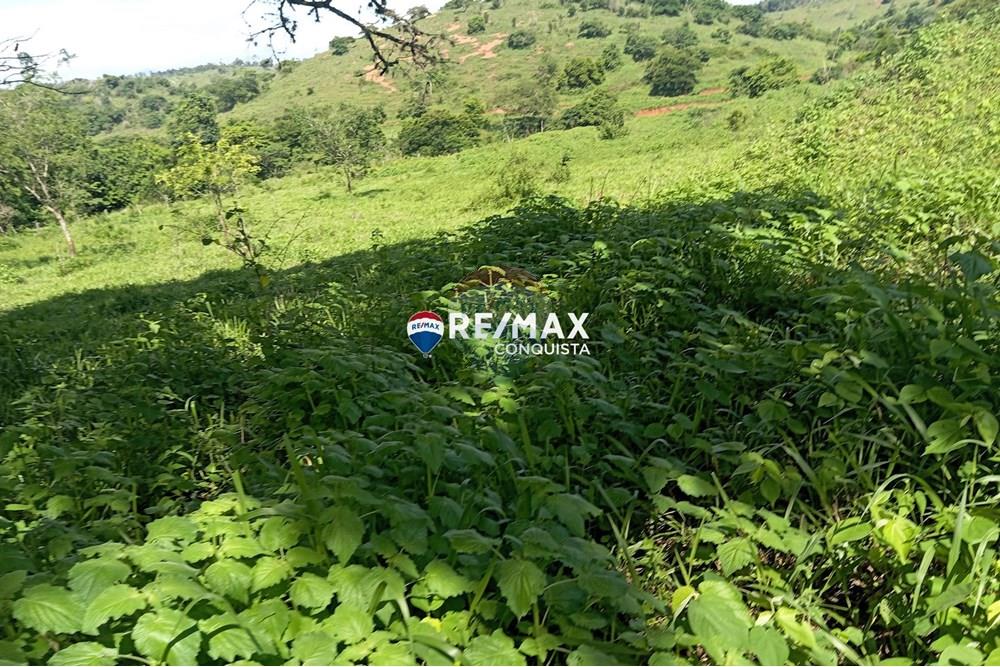 Chácara / Sítio / Fazenda - Venda - Pocrane , Minas Gerais - 3_IMG_20241203_085217_watermark_sex._13122024_135946.jpg - 870451001-114