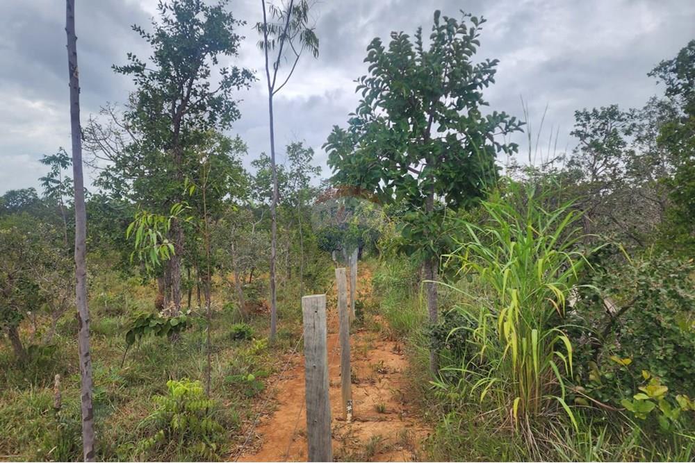 Chácara / Sítio / Fazenda - Venda - Curvelo , Minas Gerais - 8ddb96d9-649f-4b66-b1d3-de84a6b50874.jpeg - 870241024-65