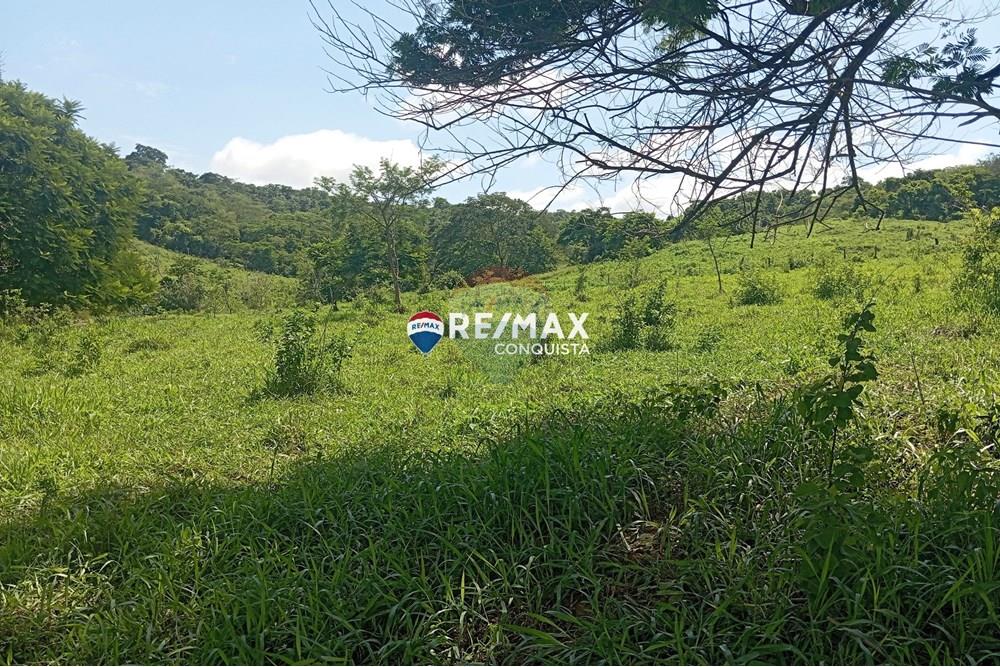 Chácara / Sítio / Fazenda - Venda - Pocrane , Minas Gerais - 6_IMG_20241203_092114_watermark_sex._13122024_135045.jpg - 870451001-114