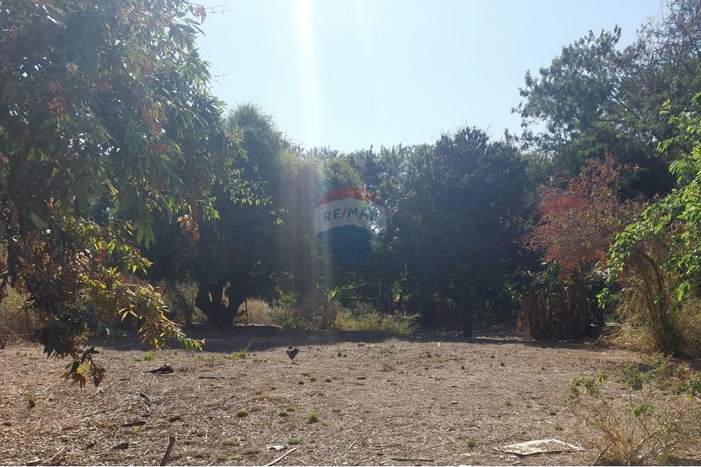 Terreno - Venda - Contagem , Minas Gerais - 20250909_144505.jpg - 870241162-7