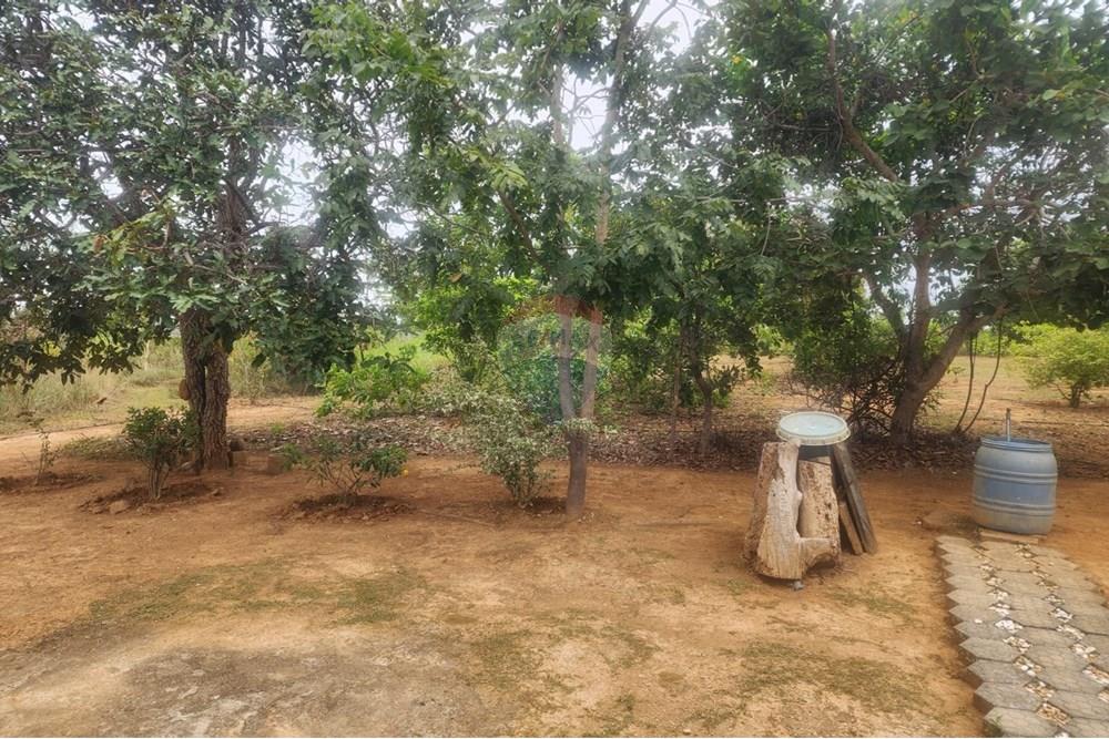 Chácara / Sítio / Fazenda - Venda - Curvelo , Minas Gerais - d9eb7684-5950-4533-a7f1-fb1ffc7ea674.jpeg - Quintal - 870241024-65