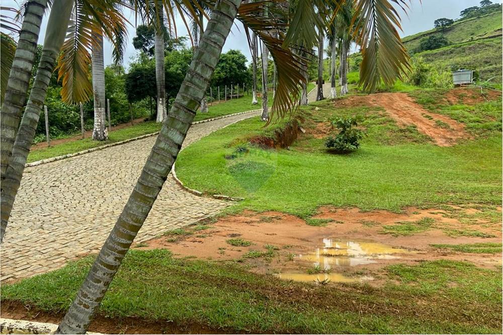 Chácara / Sítio / Fazenda - Venda - Santana do Paraíso , Minas Gerais - IMG-20250327-WA0042.jpg - 870711007-42