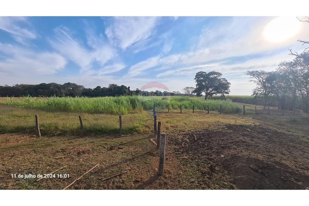 Fazenda - Venda - Uberaba , Minas Gerais - (45).jpeg - 870291025-116