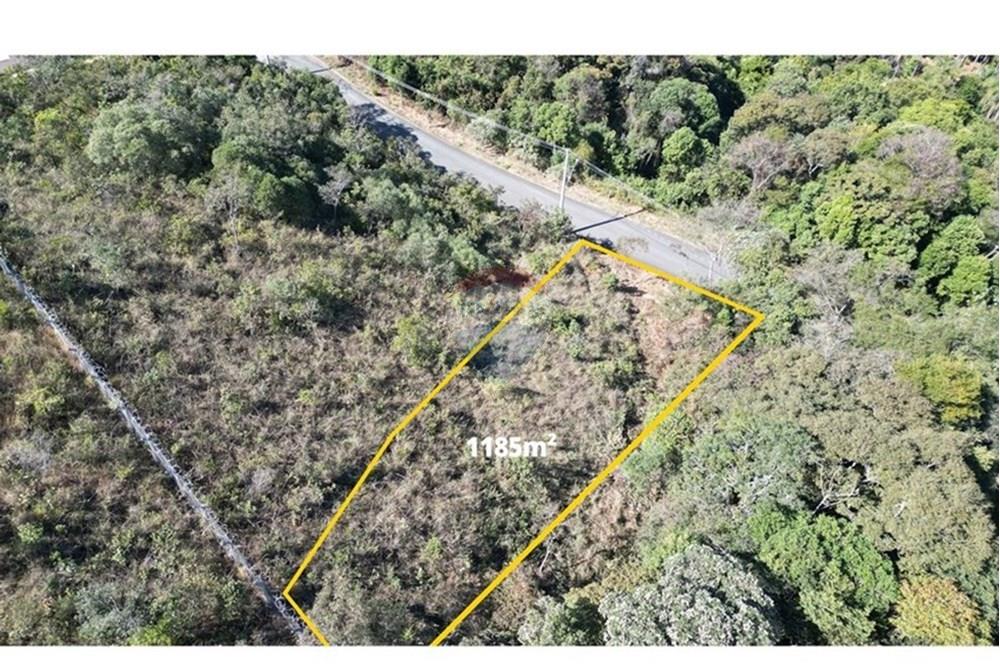 Terreno - Venda - Nova Lima , Minas Gerais - dji_fly_20250731_101216_621_1753972876877_photo2.JPG - 870351059-17