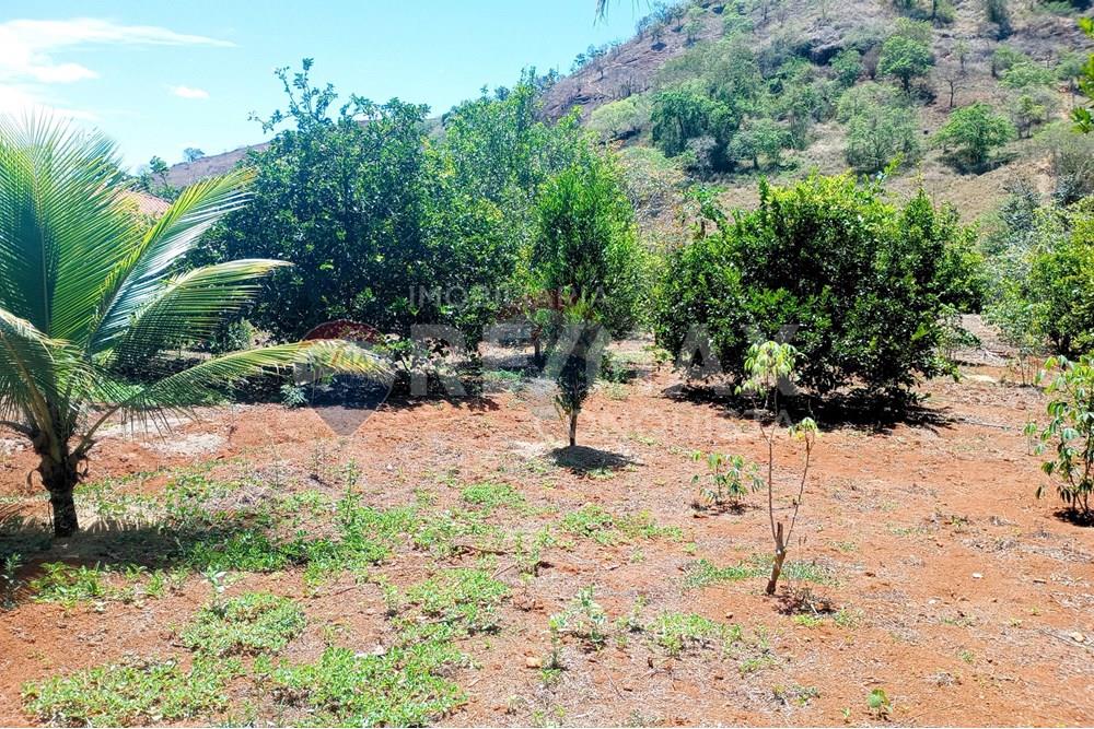 Chácara / Sítio / Fazenda - Venda - Ipanema , Minas Gerais - 3_image_3_watermark_qua._29102025_112134.jpg - 870451004-107